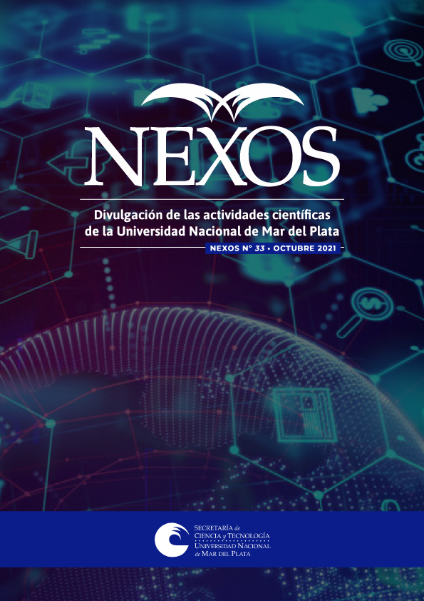 					Ver Núm. 33 (2021): Nexos
				